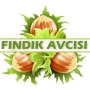 icon Findik_avcisi