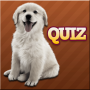 icon Dog Breeds Quiz for Sony Xperia XZ1 Compact