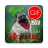 icon GIF Afrikaans Morning & Night 2.21.01