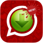 icon iSaver Pro For Image And Videos