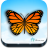 icon Indian Butterflies 5.3