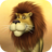 icon Talking Luis Lion 8.0