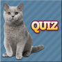 icon Cats Quiz for Sony Xperia XZ1 Compact