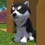 icon Cute Pocket Puppy 3D - Part 2 for iball Slide Cuboid