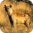 icon Hyena Sounds 1.0
