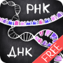 icon айМолекула: Биология ДНК Free for iball Slide Cuboid