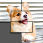 icon Pictures Master for Doopro P2
