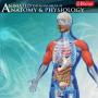 icon Anatomy and Physiology atlas