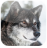 icon Wolves Live Wallpapers 1.8