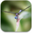 icon Dragonflies Live Wallpaper 1.7