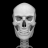 icon Bones 3D Anatomy 3.0.5