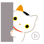 icon Animated Cats Stickers