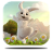 icon Day rabbit Live Wallpaper 3.0