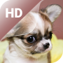 icon Cute Puppy Live Wallpaper HD