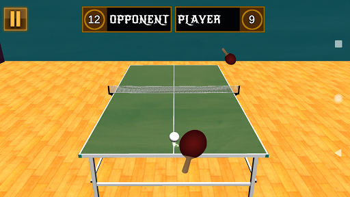 Ping Pong 3D | Table Tennis