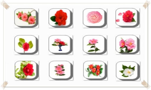 New Amazing Flowers Onet Game