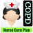 icon COPD Care Plan 10