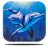 icon River Dolphin Live Wallpaper 3.0