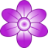 icon Flower Shower 1.0