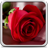 icon Rose Live Wallpaper 16.0