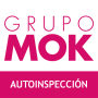 icon com.mok.autoinspeccion