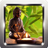 icon Buddist Ringtones 9.0