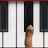 icon Dog Piano 2.3