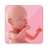 icon Pregnancy 1.4.1