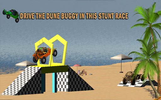 Beach Buggy Stunt Driver