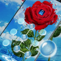 icon (FREE) Rose Flower - App Lock Master Theme