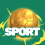 icon Sport Expert