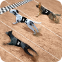 icon Dog Racing Simulator
