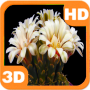 icon Blooming Flower Cactus Bud