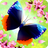 icon Flutter 2.64