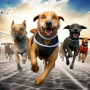 icon Dog Racing Pet Race Simulator