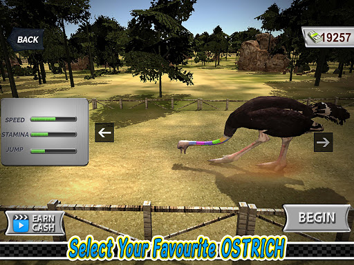 Ostrich Race Game: Jungle Animals Racing Simulator