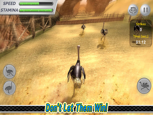 Ostrich Race Game: Jungle Animals Racing Simulator