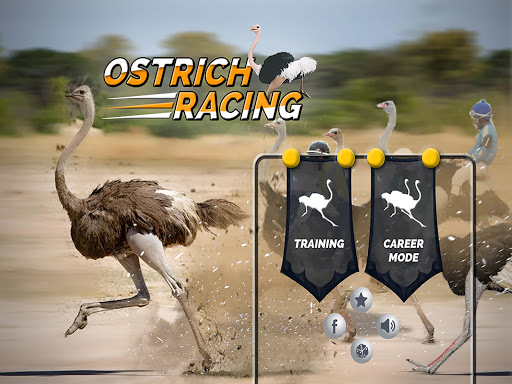 Ostrich Race Game: Jungle Animals Racing Simulator