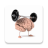 icon Logic and Wit 1.2.3