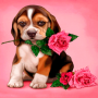 icon com.dakshapps.puppyrose