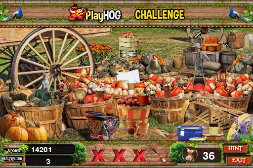 Challenge #101 Pumpkin Farm New Hidden Object Game
