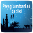 icon Paygambarlar tarixi 6.0
