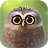 icon Little Owl Lite 1.3.8