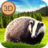 icon Badger SimulatorAnimals Wild Life 3D 1.0.0