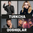 icon Turkcha Qoshiqlar 1.0