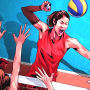 icon Volleyball 3D