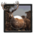 icon Forest Sniper Hunter 1.8