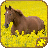 icon Horse Puzzles Free 2.14