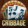 icon Cribbage Royale for Samsung Vibrant