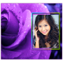 icon Purple Roses Photo Frames